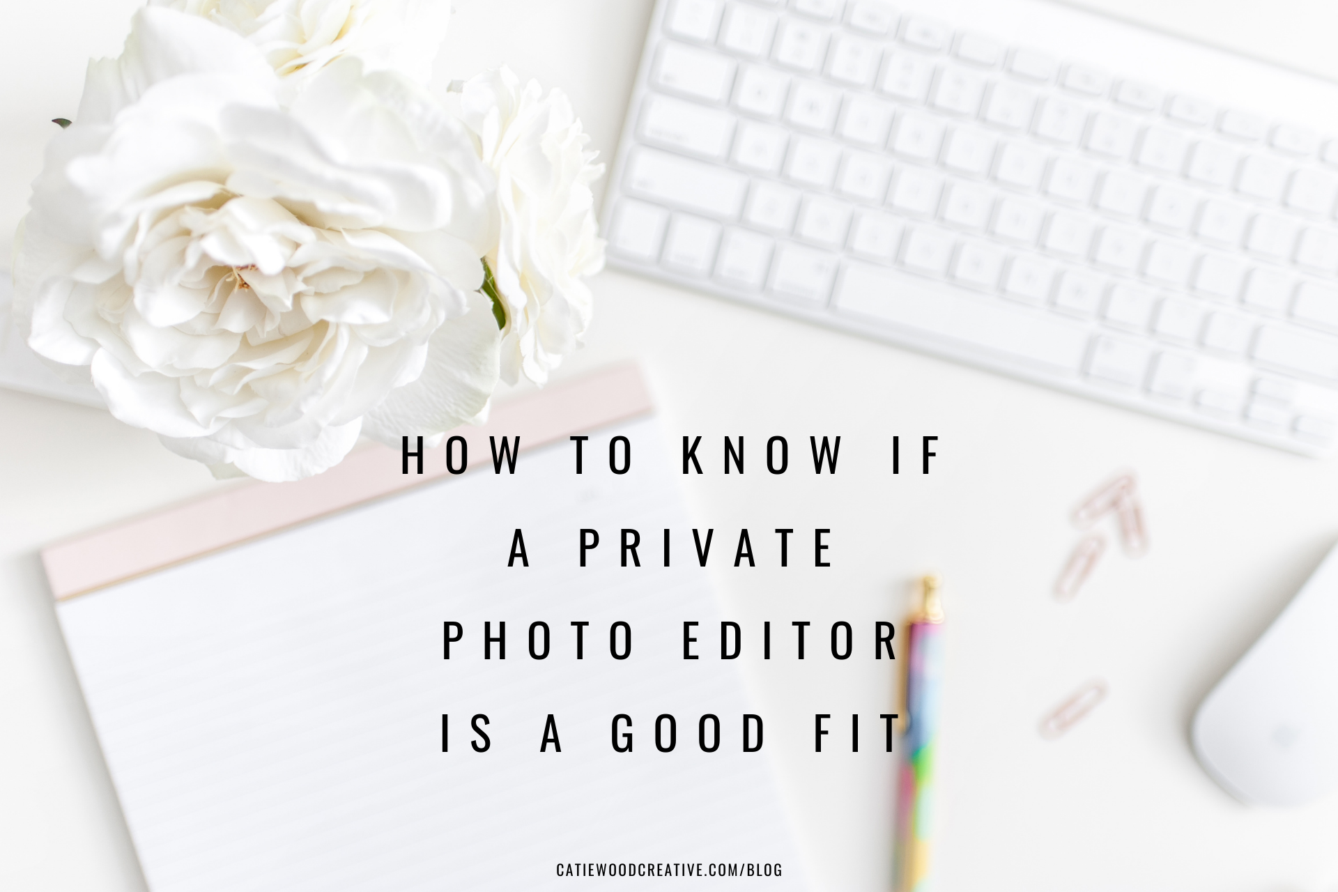 how to know if a private editor is a good fit